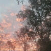 l_i_a_n_a_123